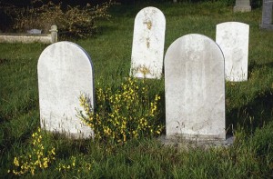 Grave Markers in Cemetery