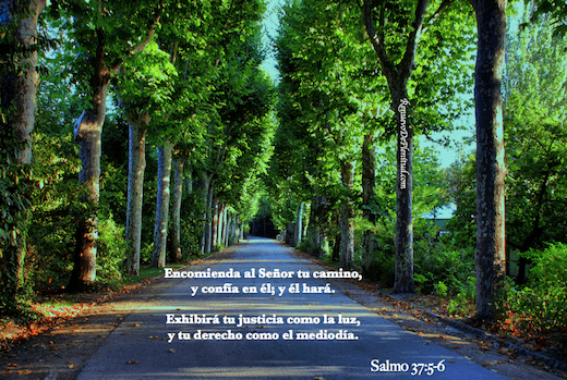 promesa-camino7d