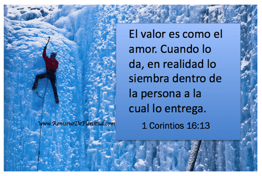 promesa-valor28