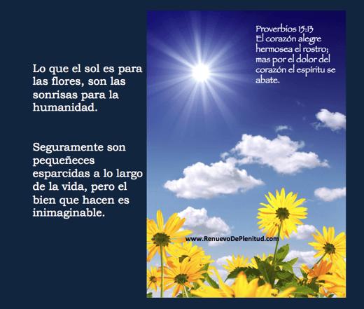 promesa-flores03d