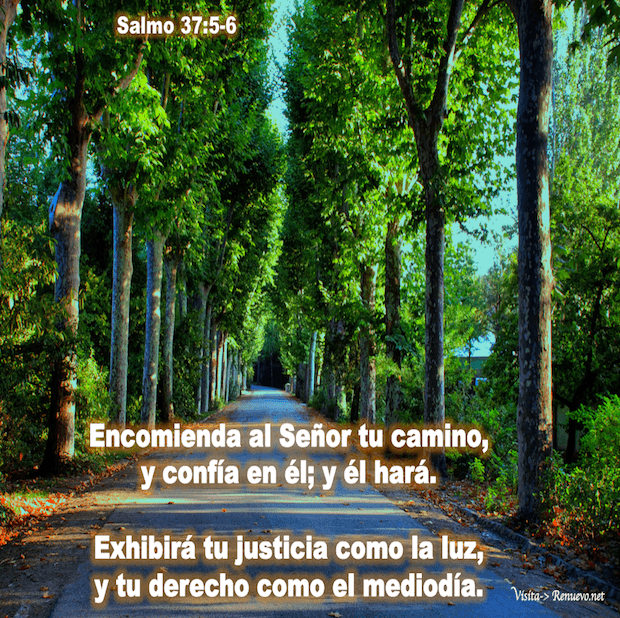 Encomienda