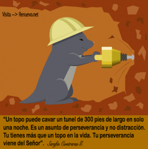 perseverancia