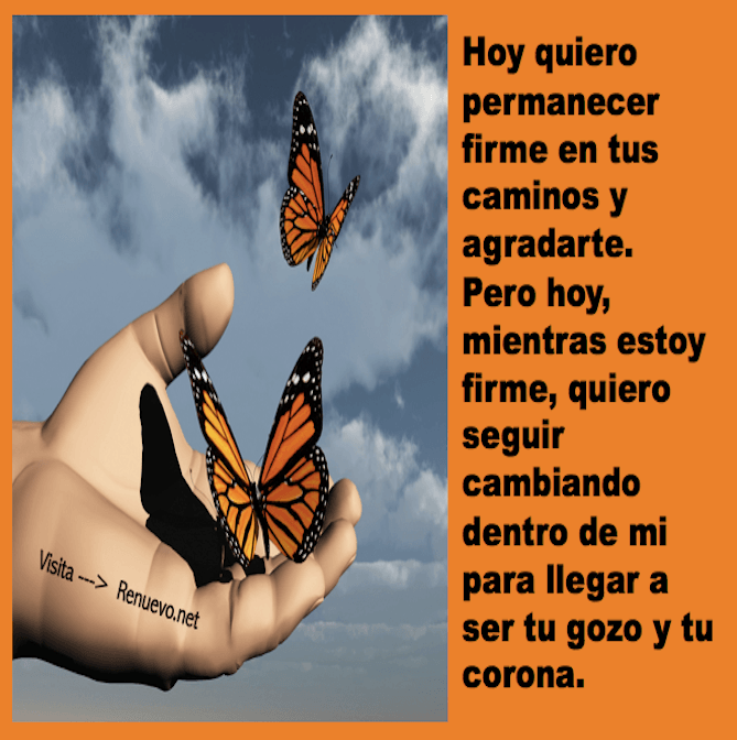 Firme