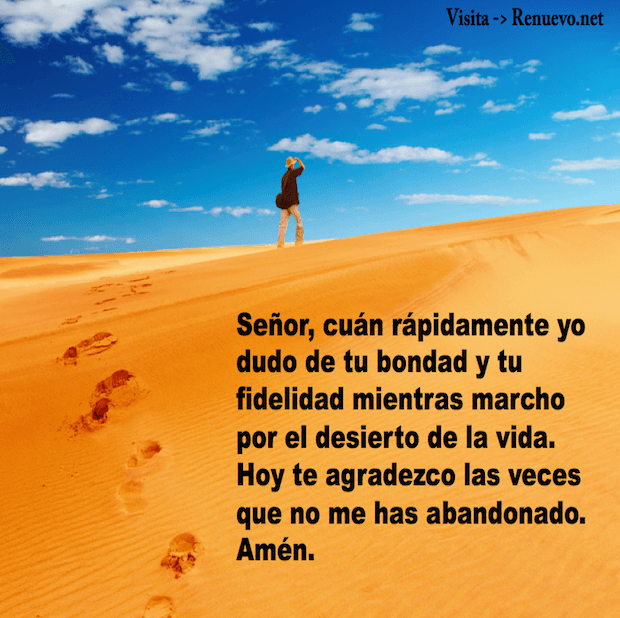 Fidelidad