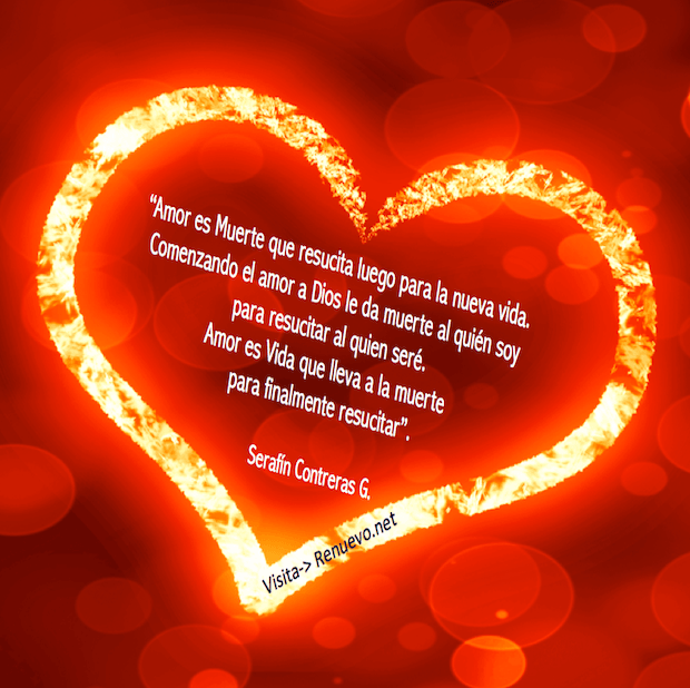 Amor