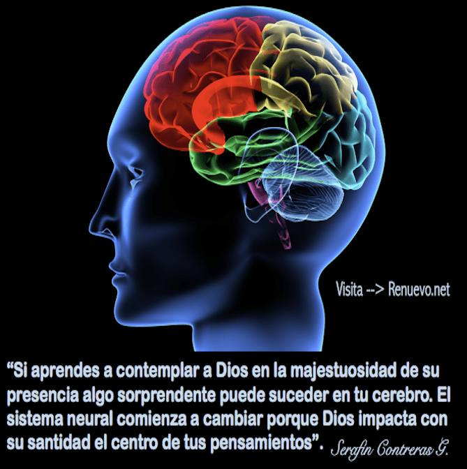 contemplar